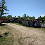 Goldfish Camping
