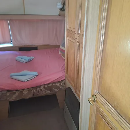 Goldfish * سوزوبول