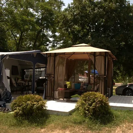 Kemp Goldfish Sozopol