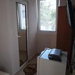 Goldfish 营地 索佐波尔