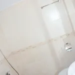 Goldfish 营地 索佐波尔