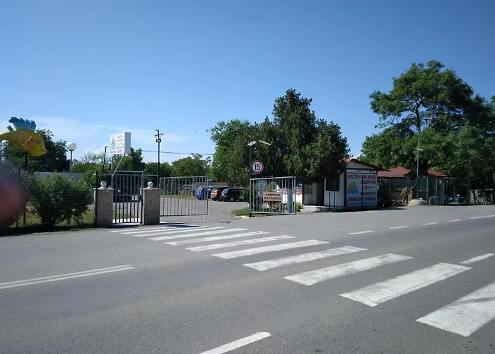 Къмпинг златна рибка *