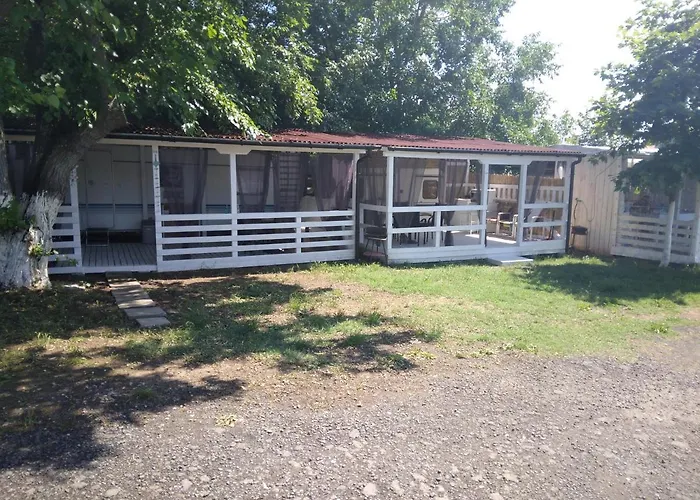 Къмпинг златна рибка *