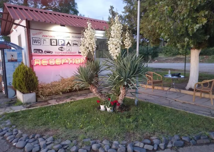 златна рибка *