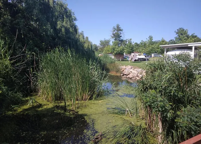 Къмпинг златна рибка Созопол