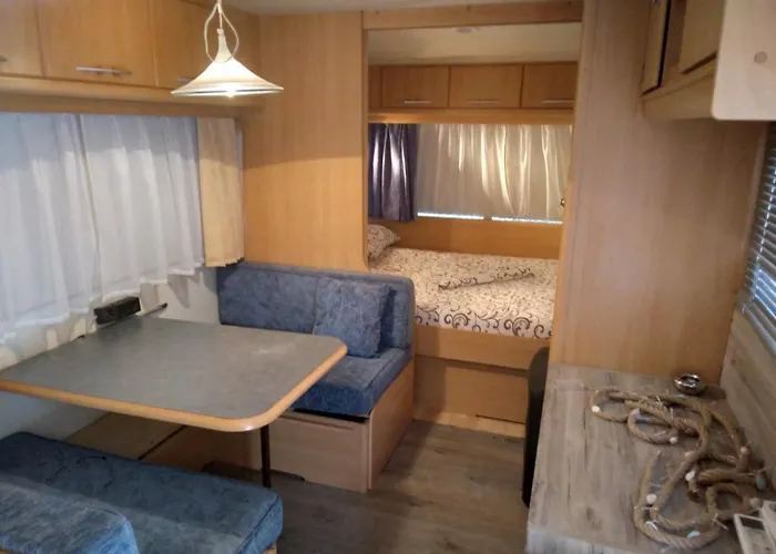 златна рибка Созопол