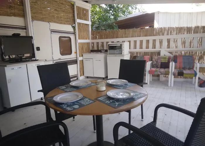 Къмпинг златна рибка