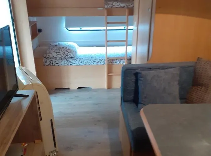 Къмпинг златна рибка *