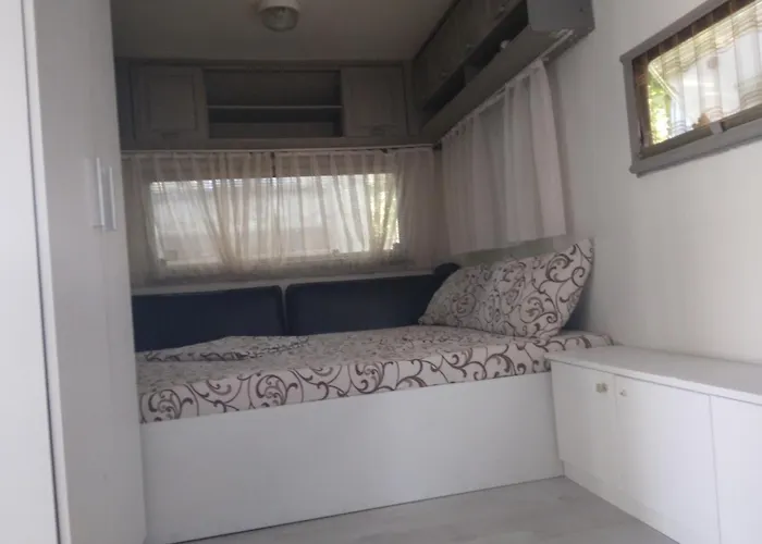 златна рибка *