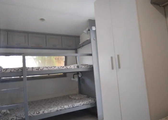 златна рибка *