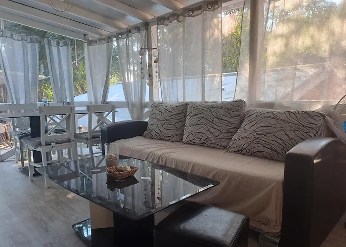 златна рибка Къмпинг Созопол