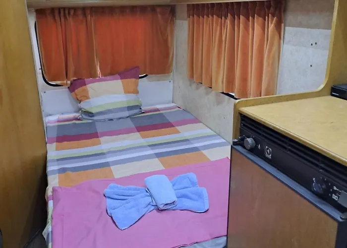 златна рибка *