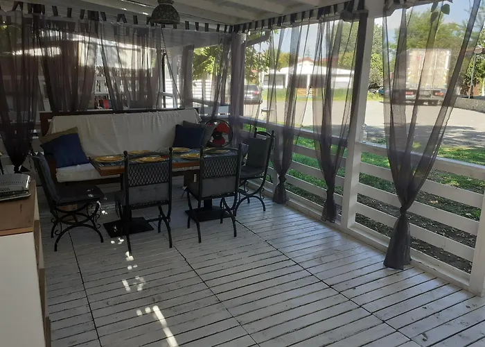 златна рибка Созопол