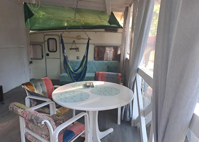 златна рибка