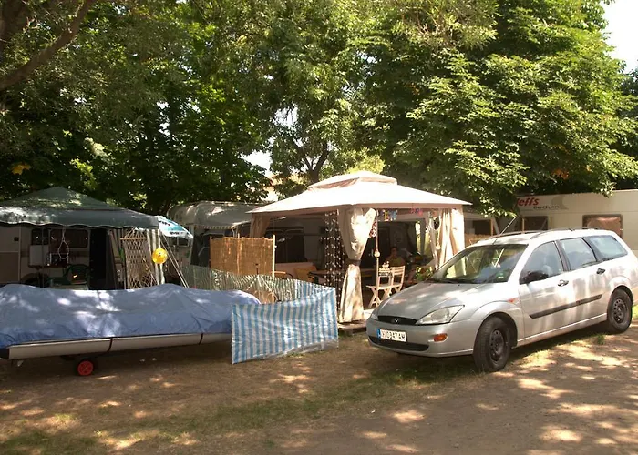 златна рибка