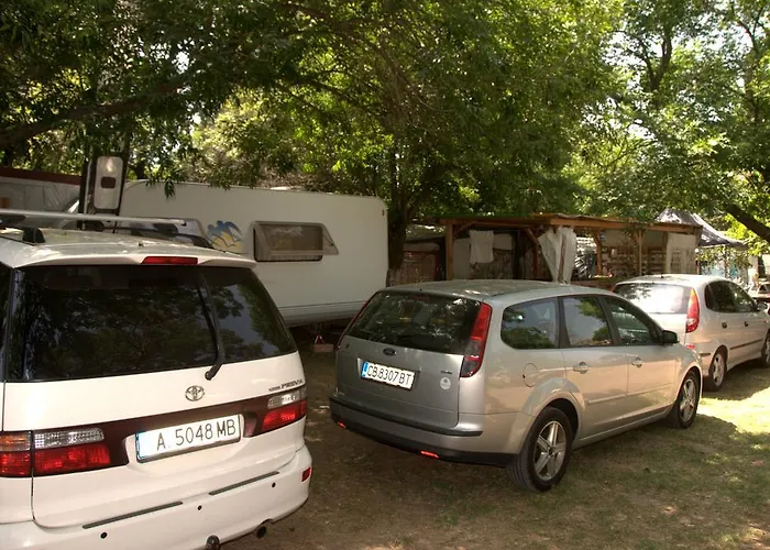 Къмпинг златна рибка