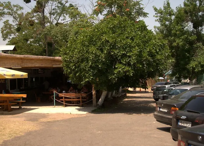 златна рибка Къмпинг Созопол